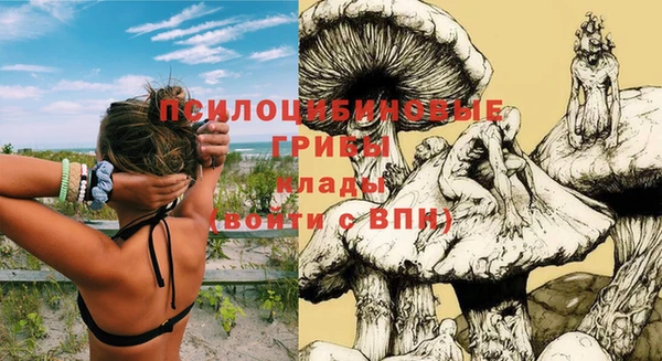 хмурый Алексеевка