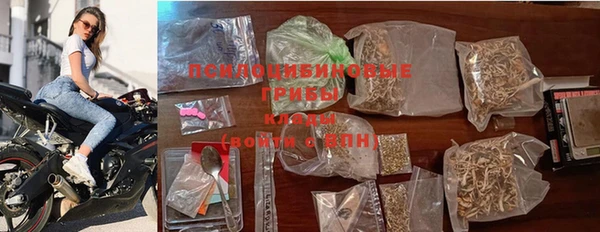 хмурый Алексеевка