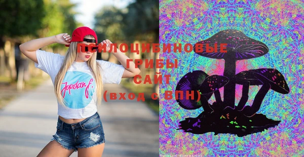 не бодяженный Алзамай