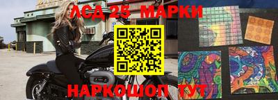стафф Будённовск