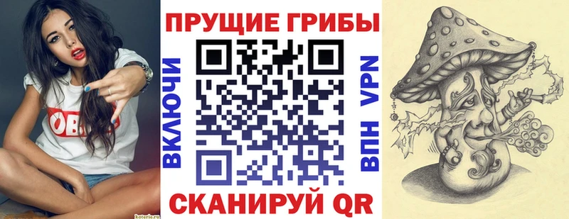 ОМГ ОМГ онион  Дмитров  Псилоцибиновые грибы прущие грибы 